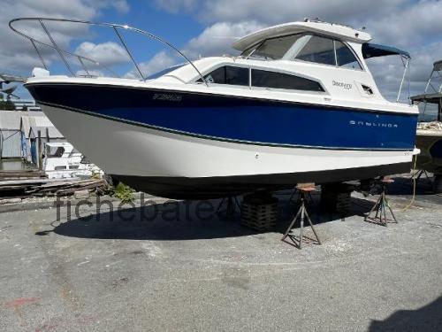 Bayliner 266 Discovery avis et fiche technique